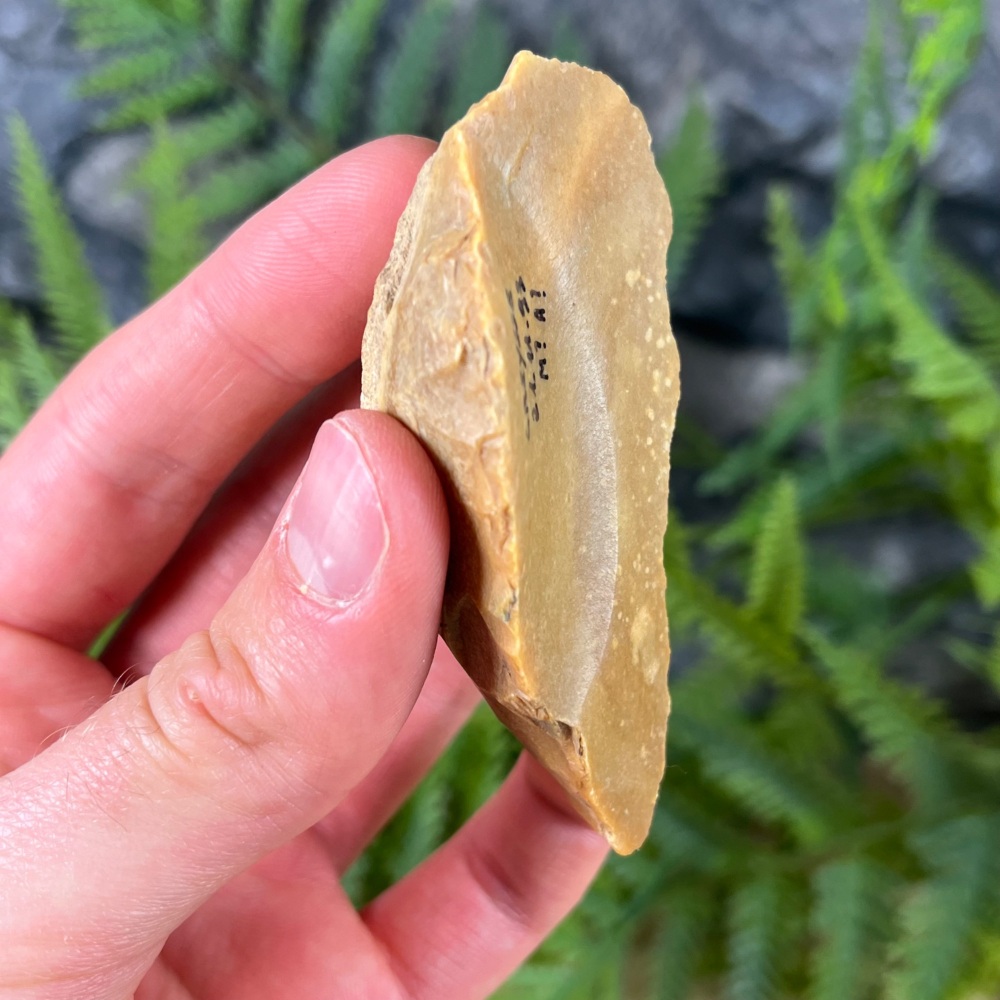 Upper Palaeolithic Scraper (France)