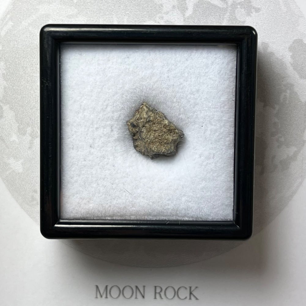 Lunar Meteorite