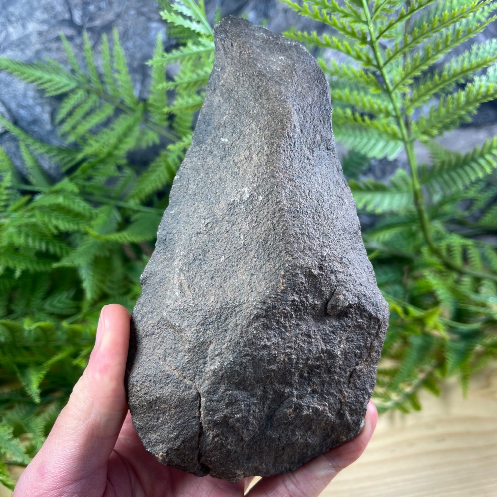 Acheulean hand axe (Homo erectus)