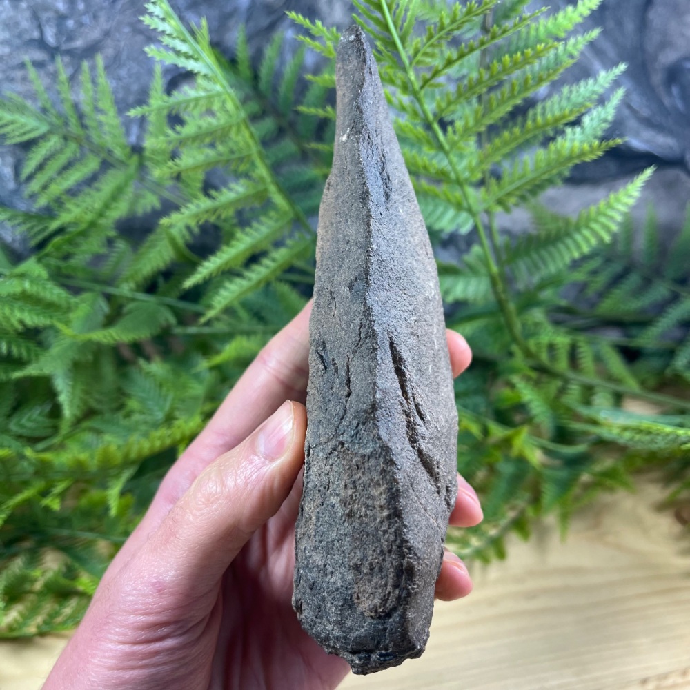 Acheulean hand axe (Homo erectus)