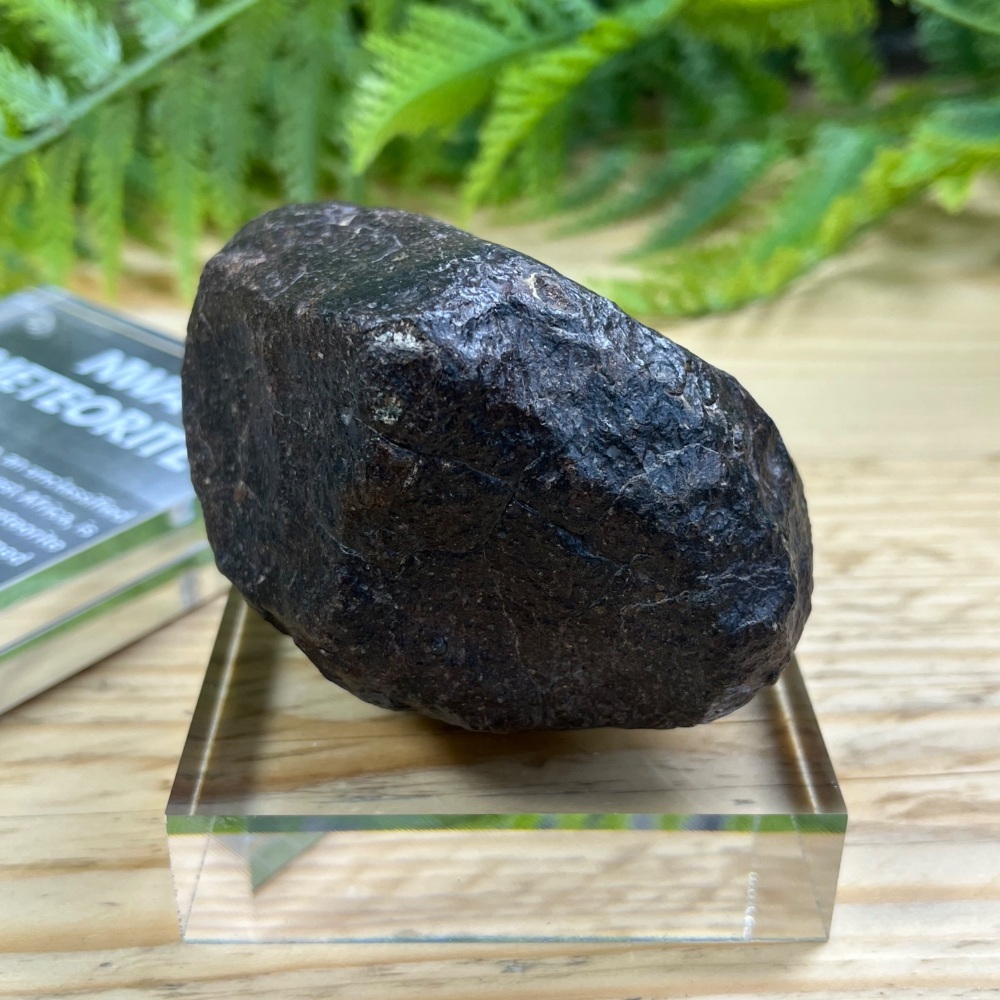 Meteorite (Unclassified NWA)