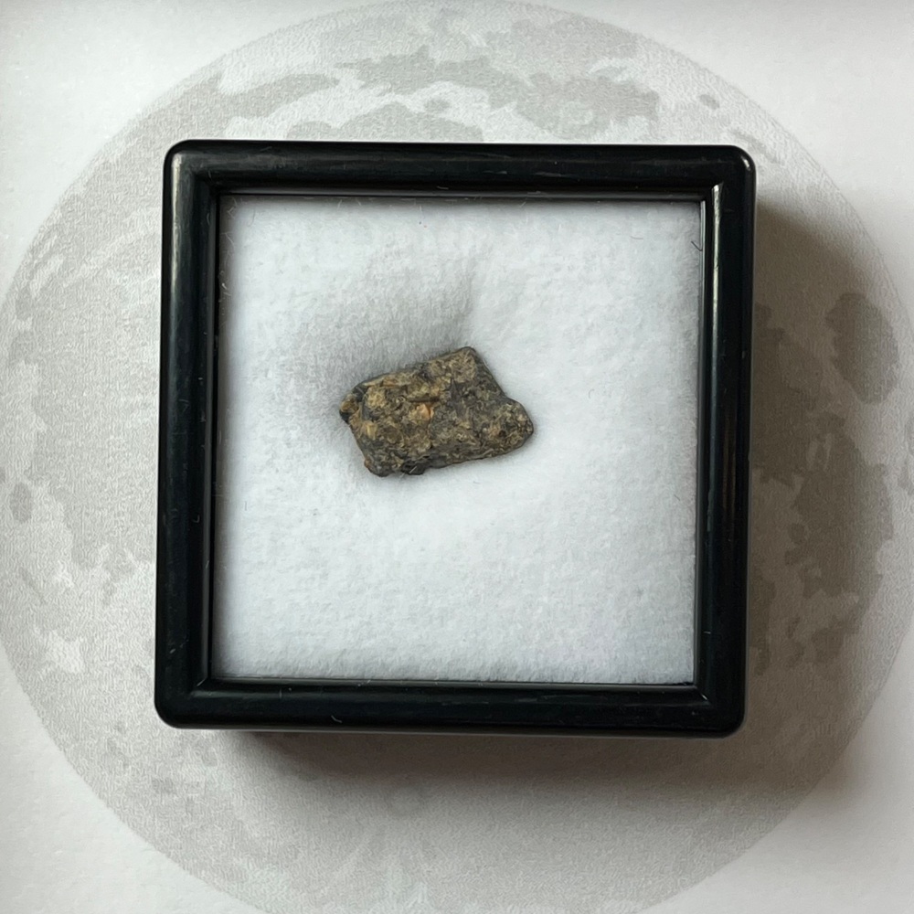 Lunar Meteorite