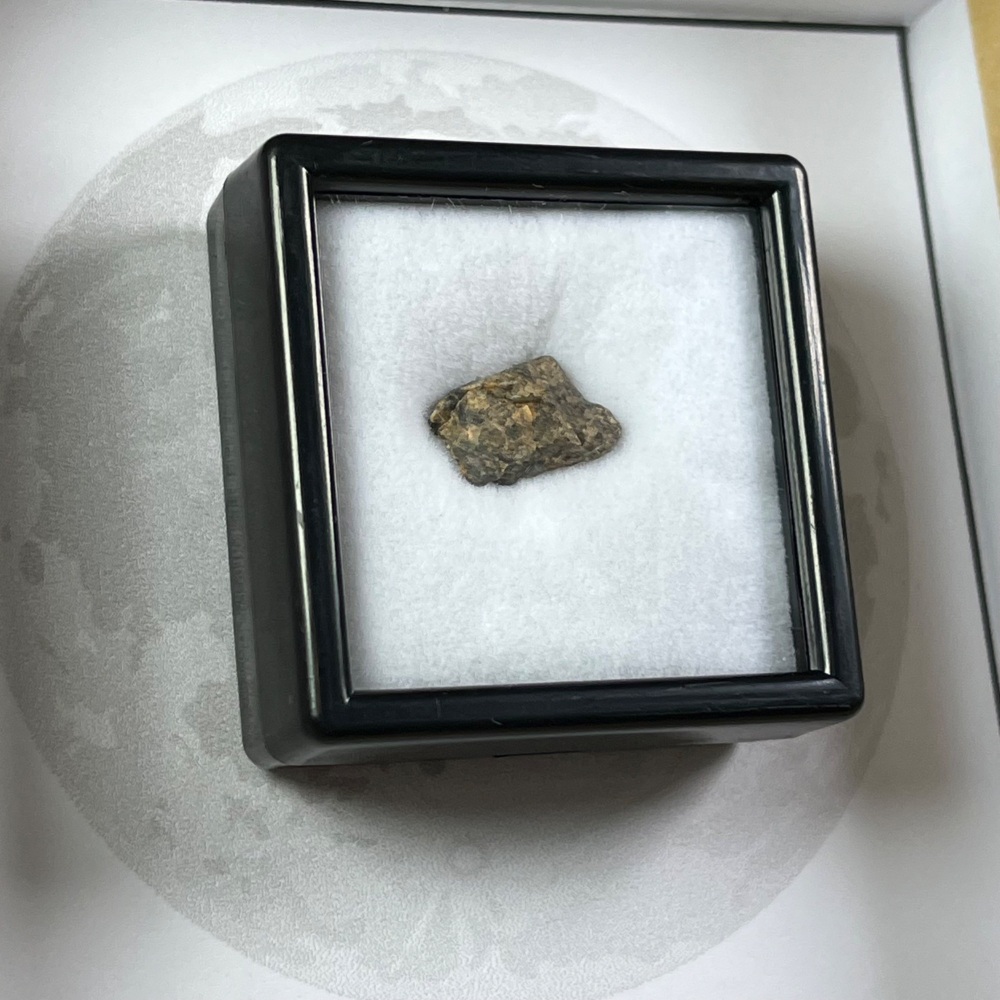 Lunar Meteorite