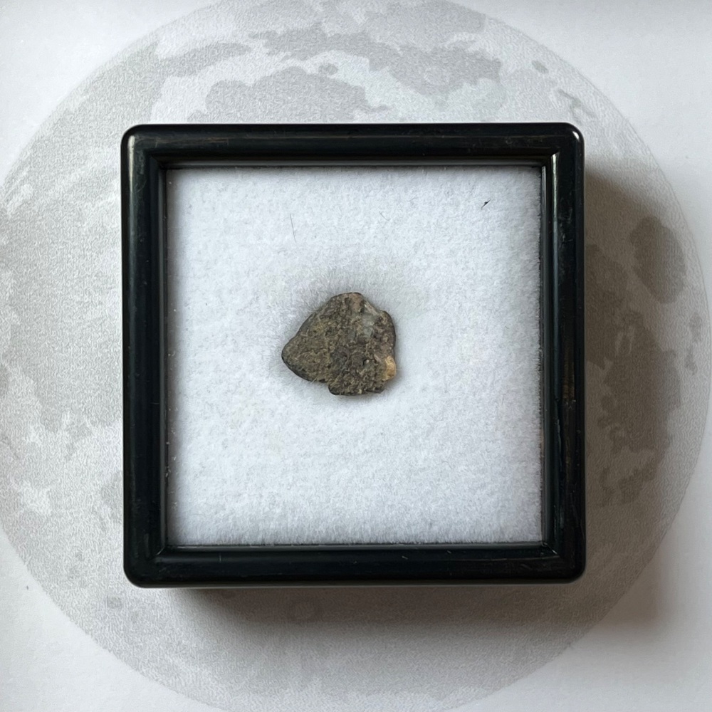 Lunar Meteorite