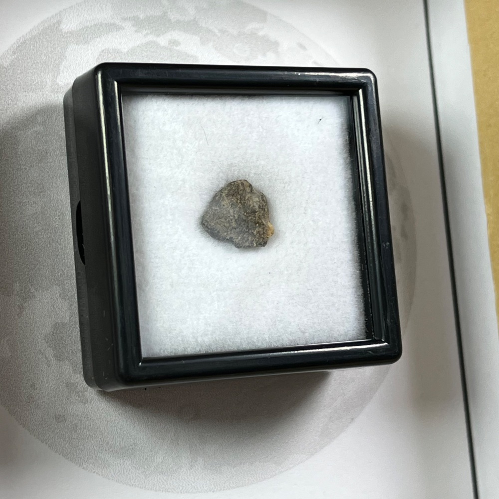 Lunar Meteorite