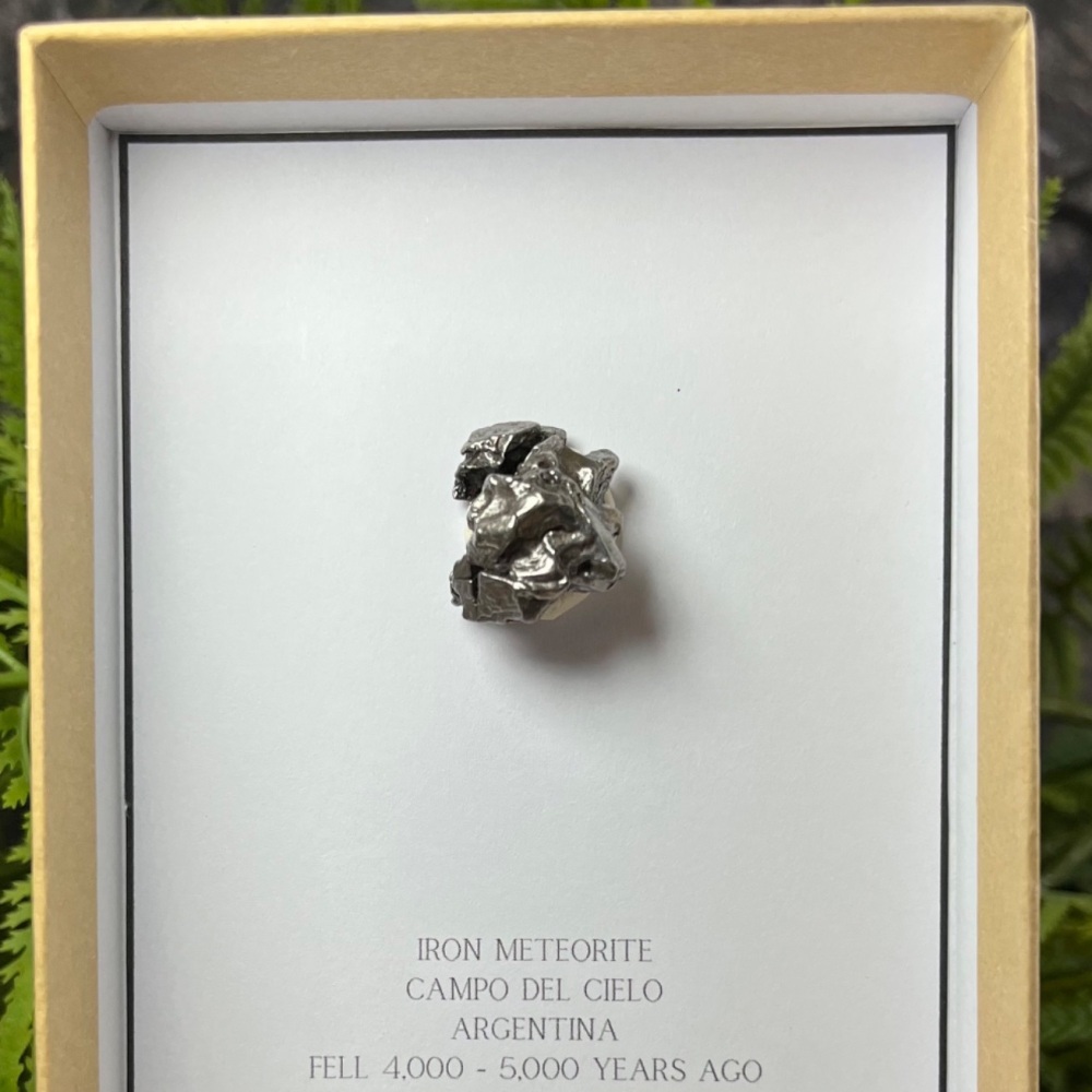 Meteorite (campo del cielo)