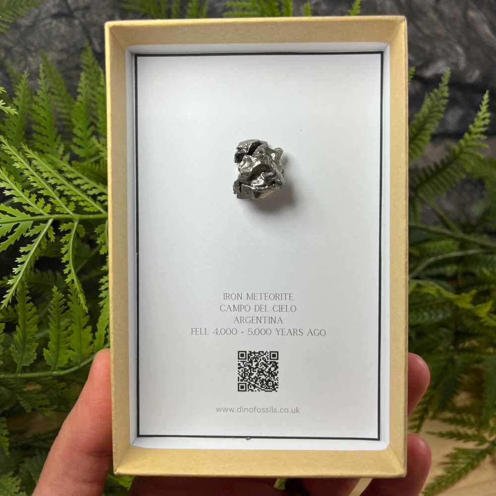 Meteorite (campo del cielo)