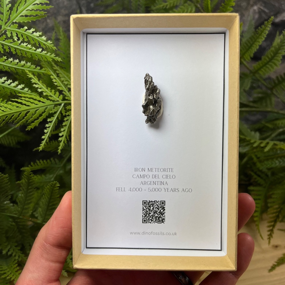 Meteorite (campo del cielo)