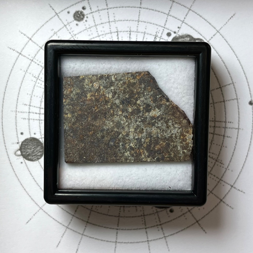Meteorite Slice (NWA 2857)