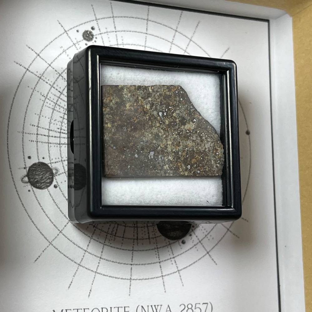 Meteorite Slice (NWA 2857)