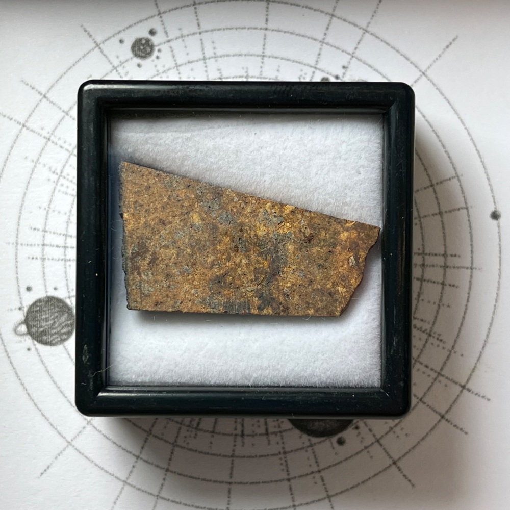 Meteorite Slice (NWA 7998)