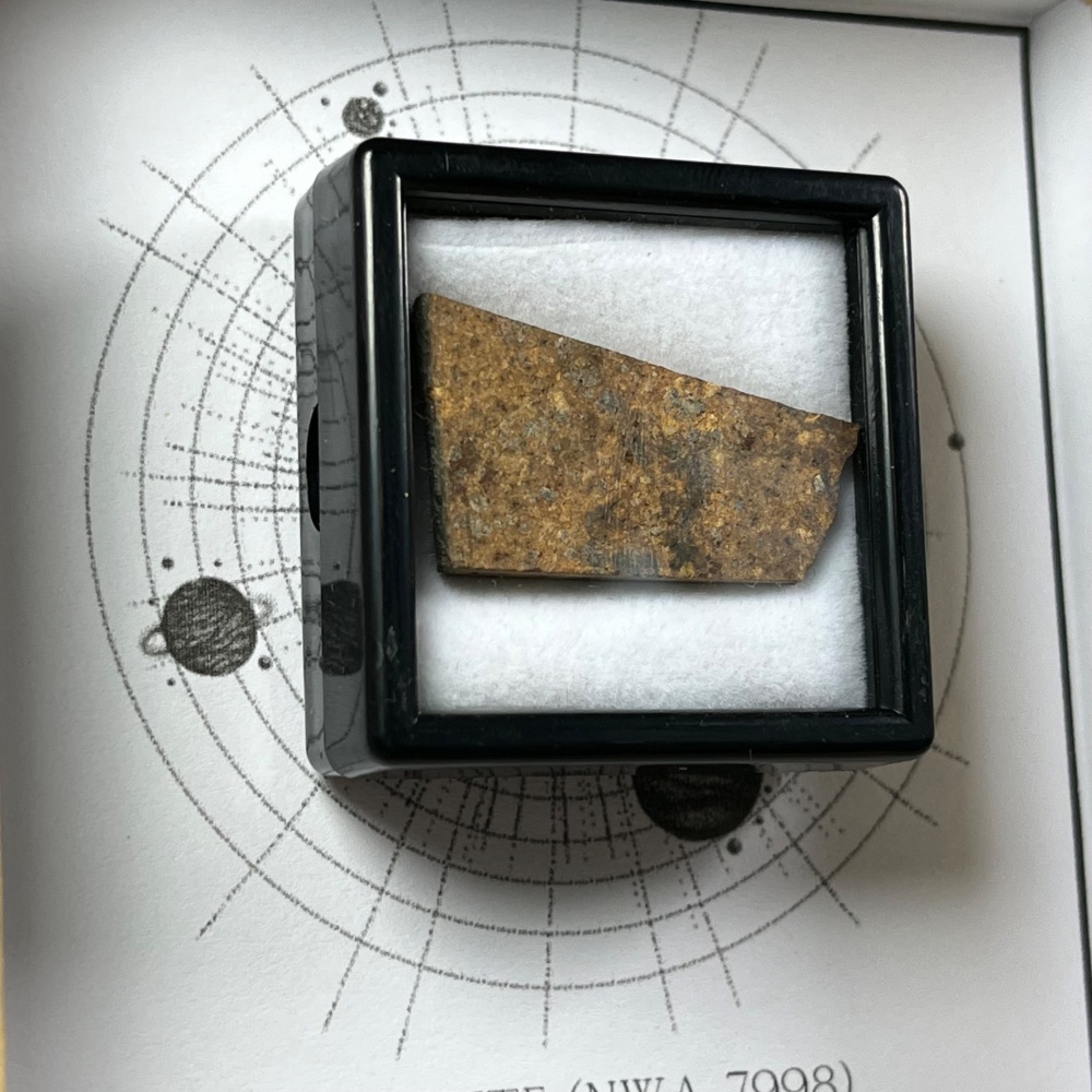 Meteorite Slice (NWA 7998)