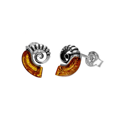 Baltic Amber Ammonite Stud Earrings (Sterling Silver)