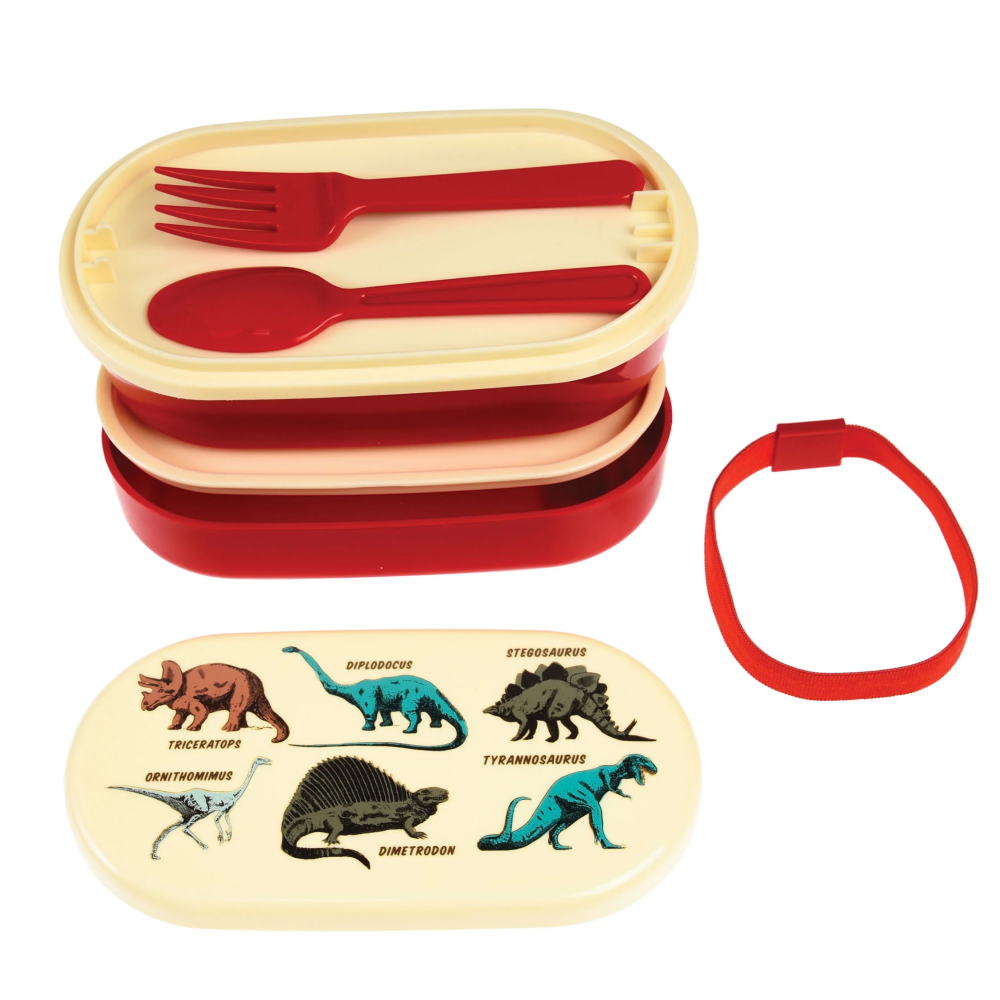 Children's Dinosaur bento box
