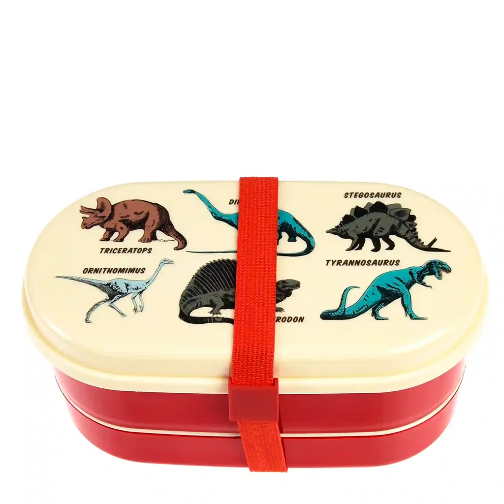 Children's Dinosaur bento box