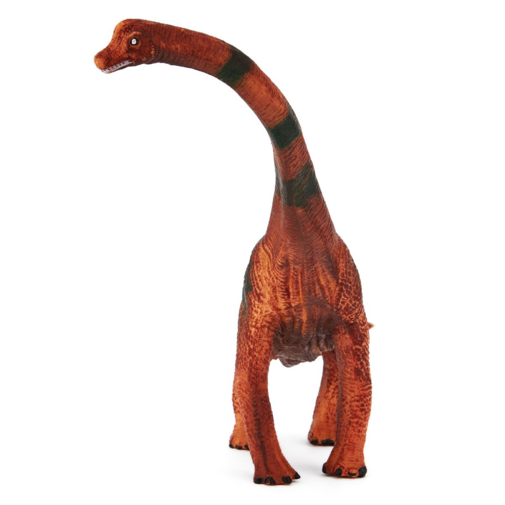Brachiosaurus Dinosaur Figure Toy