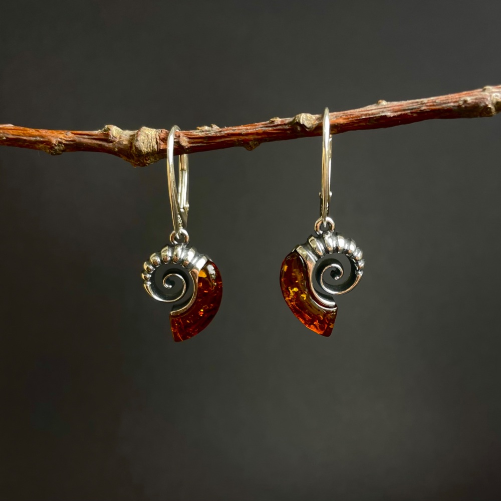 Baltic Amber Ammonite Earrings (Sterling Silver)