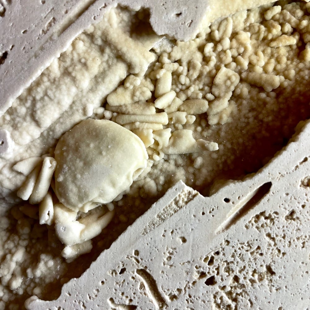 Fossil Crab (Turkey)