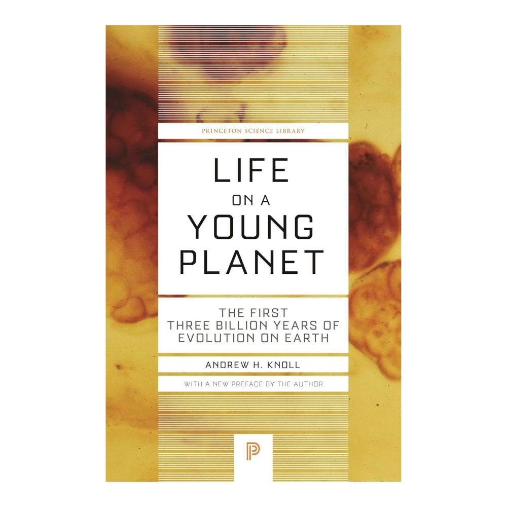 Life on a Young Planet: The First Three Billion Years of Evolution on Earth (Princeton Science Library) Paperback