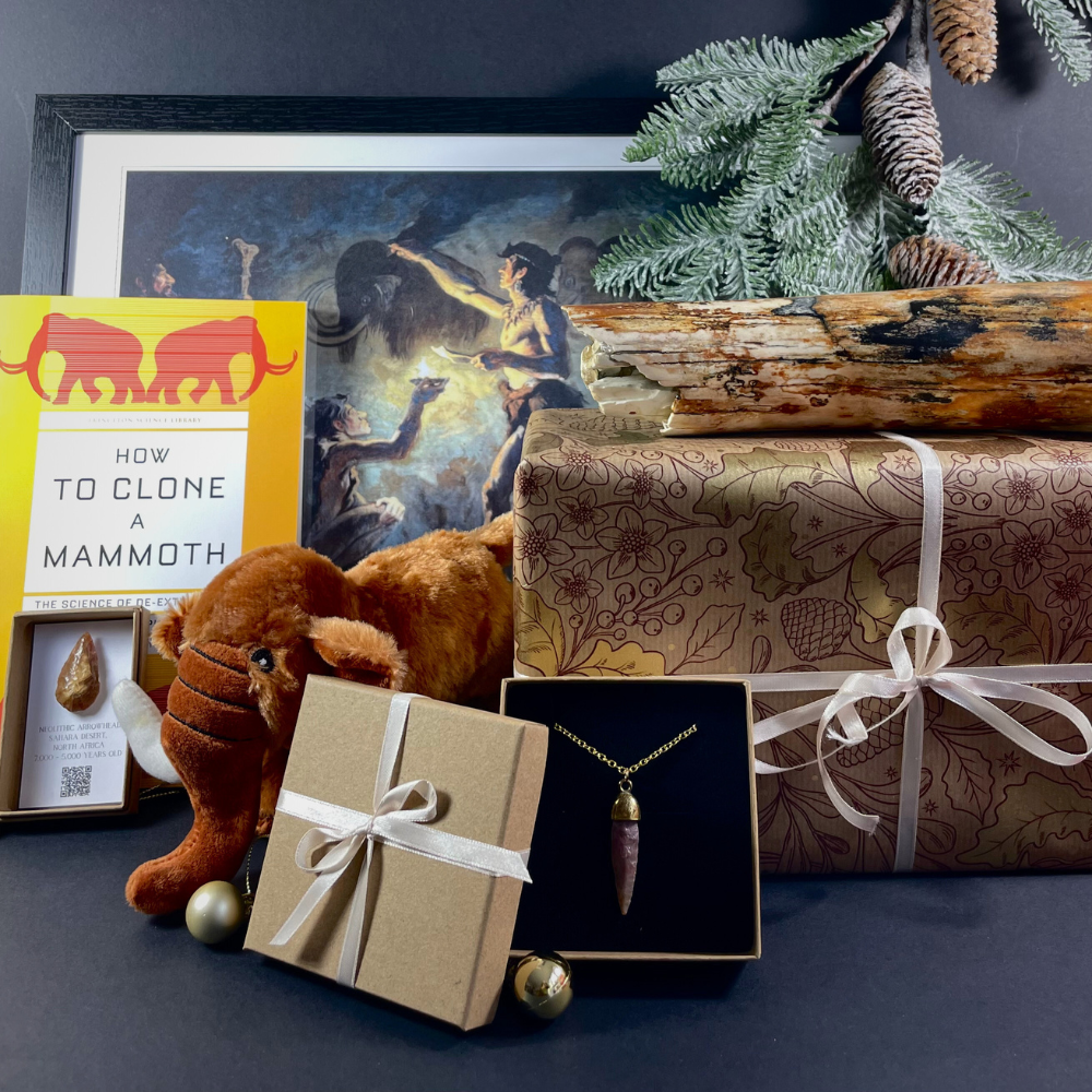 <!-- 007-->Neanderthals