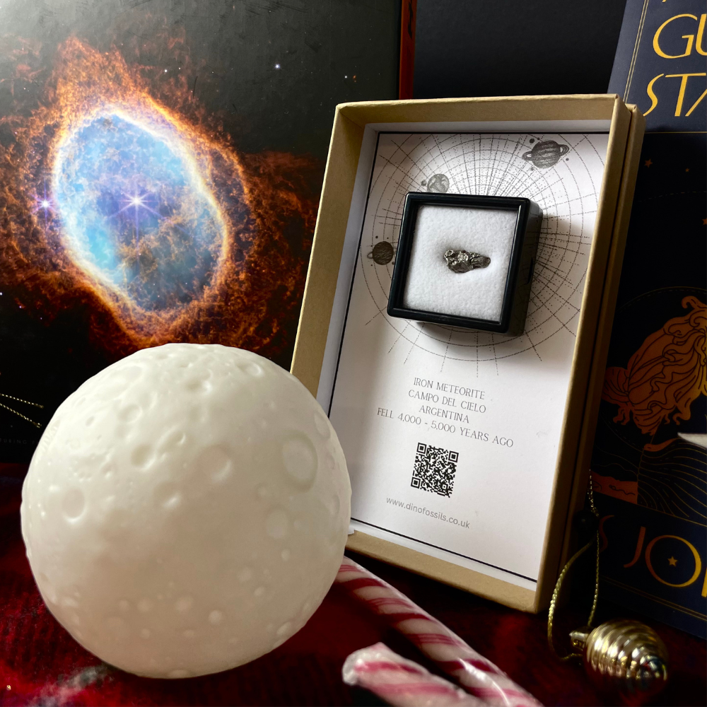 <!-- 005-->Space Explorers