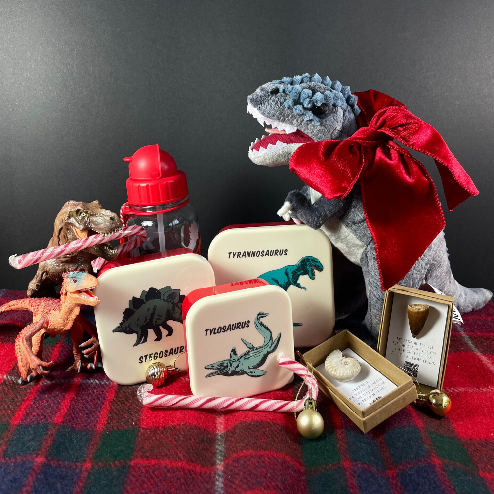 <!-- 001-->Young Dino Explorers