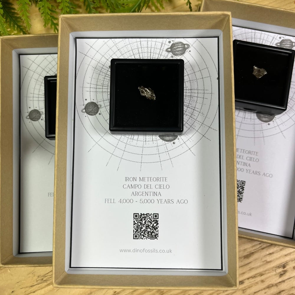 Meteorite (campo del cielo)