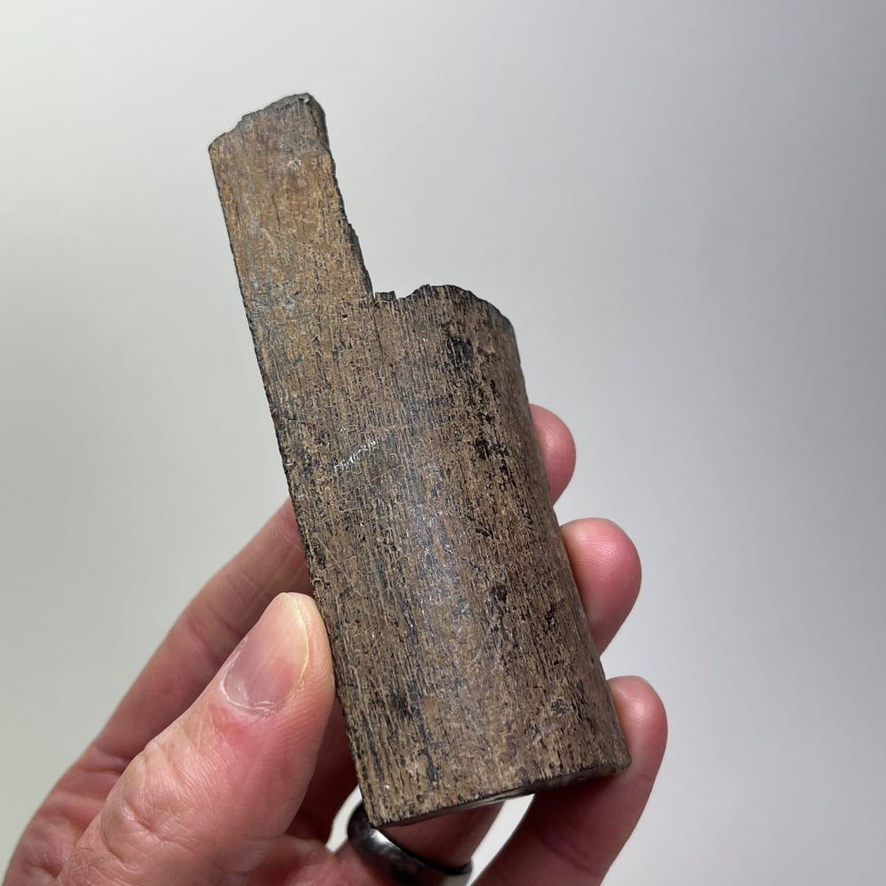 Mammoth Ivory (Siberia)