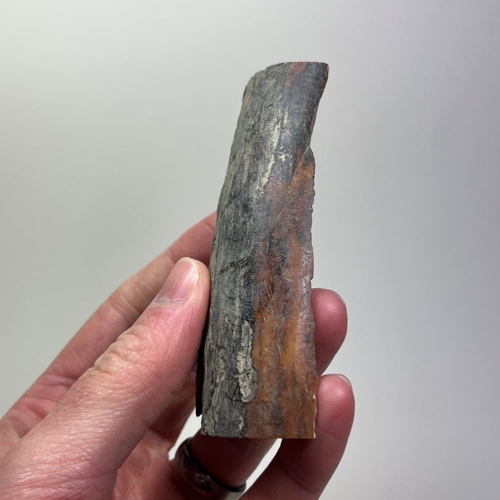 Mammoth Ivory (Siberia)