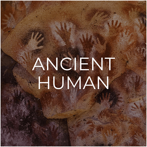 a picture of Cueva de las Manos. It is named for the hundreds of paintings of hands stenciled, in multiple collages, on the rock walls. The art was created in several waves from 7,300 BC