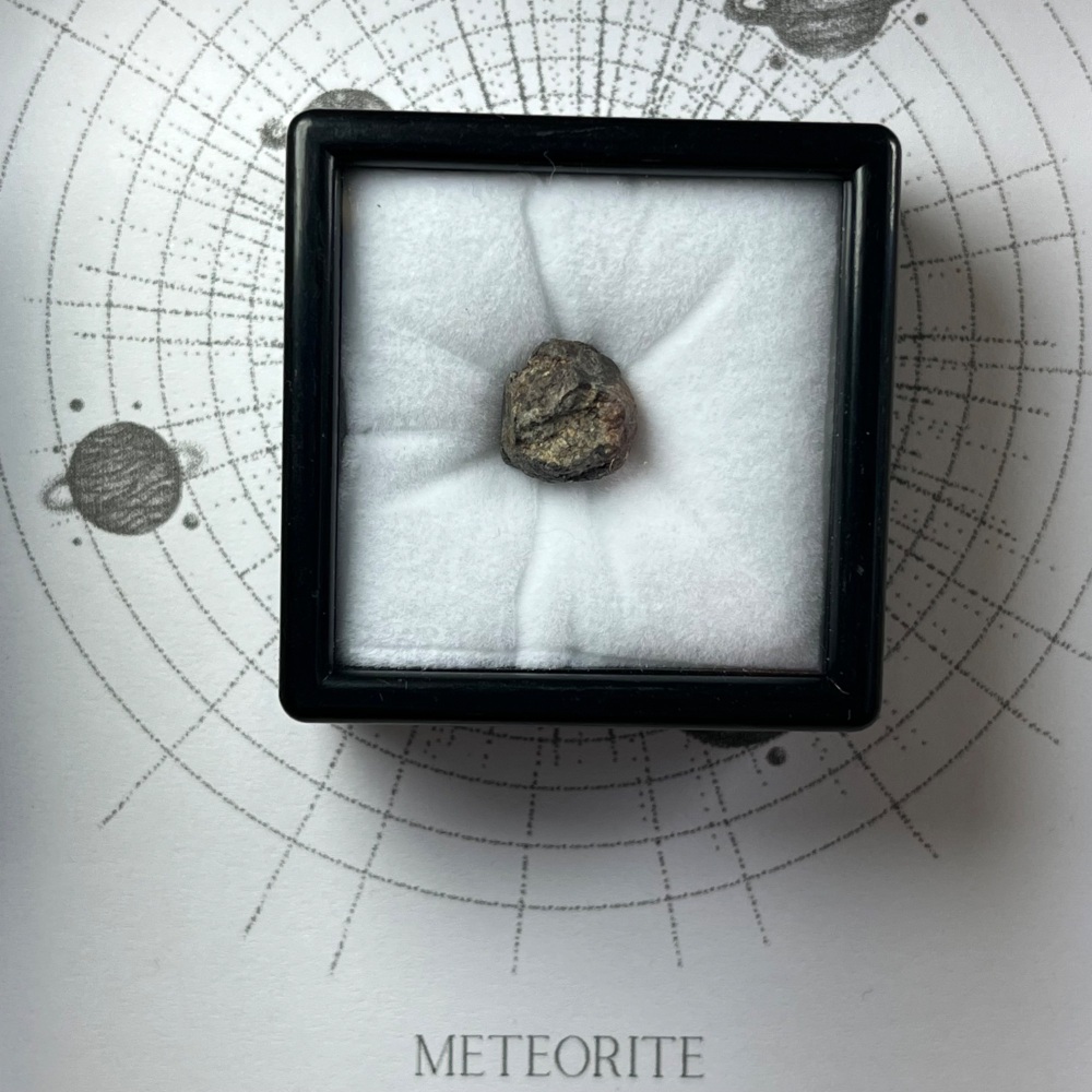 Meteorite from Early Solar System with Fusion Crust (NWA 13113)