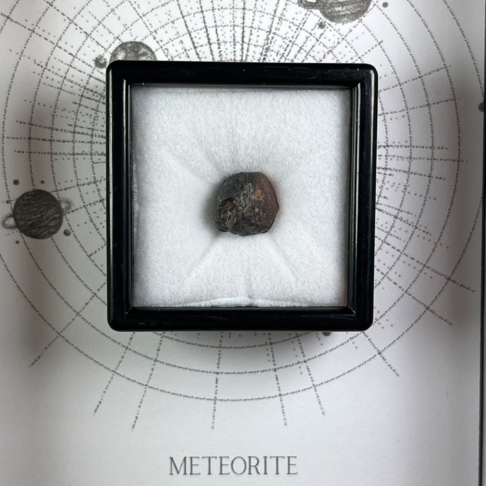 Meteorite from Early Solar System with Fusion Crust (NWA 13113)