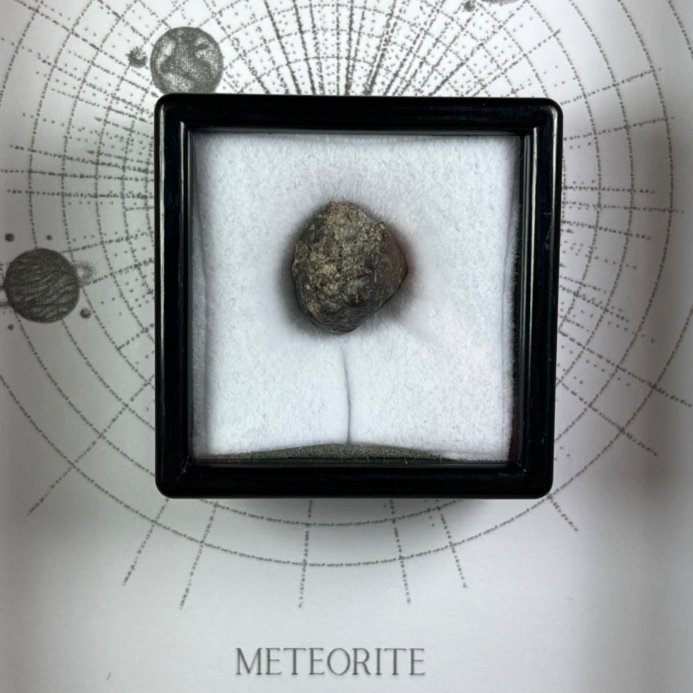 Meteorite from Early Solar System with Fusion Crust (NWA 13113)