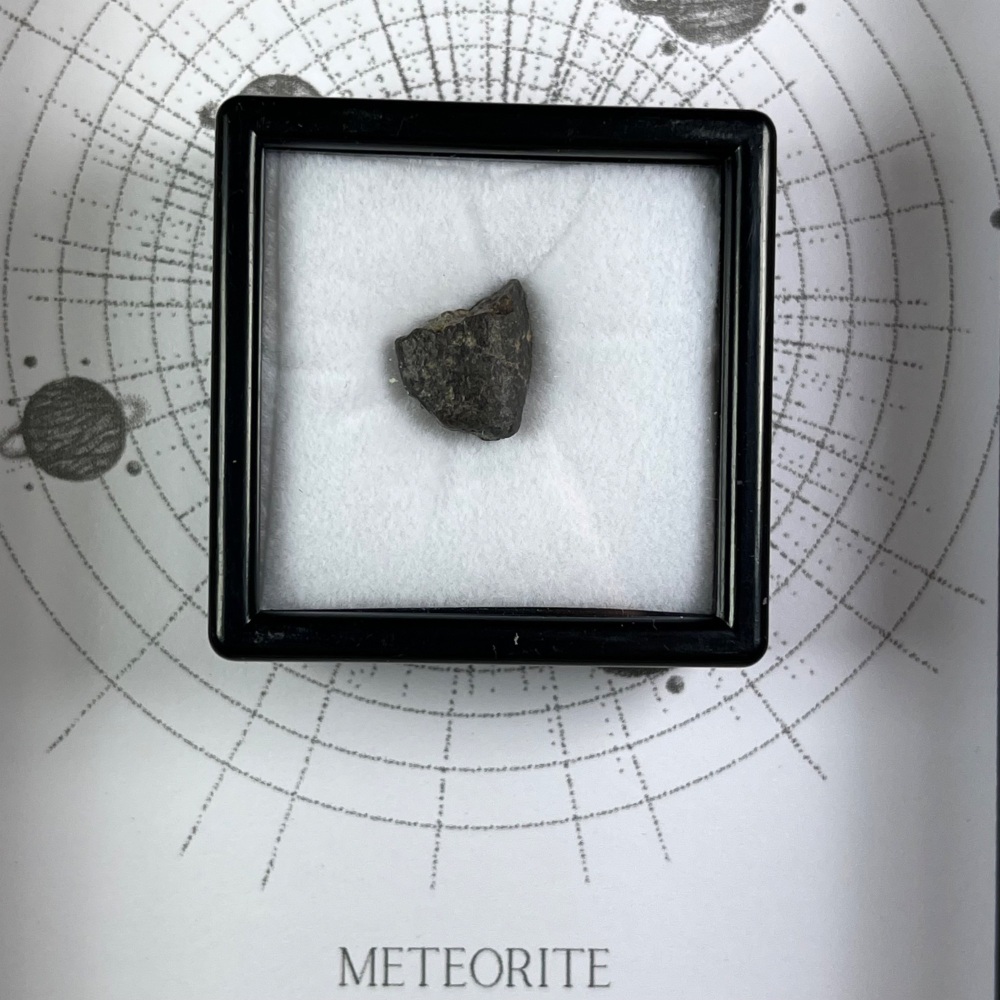 Meteorite from Early Solar System with Fusion Crust (NWA 13113)