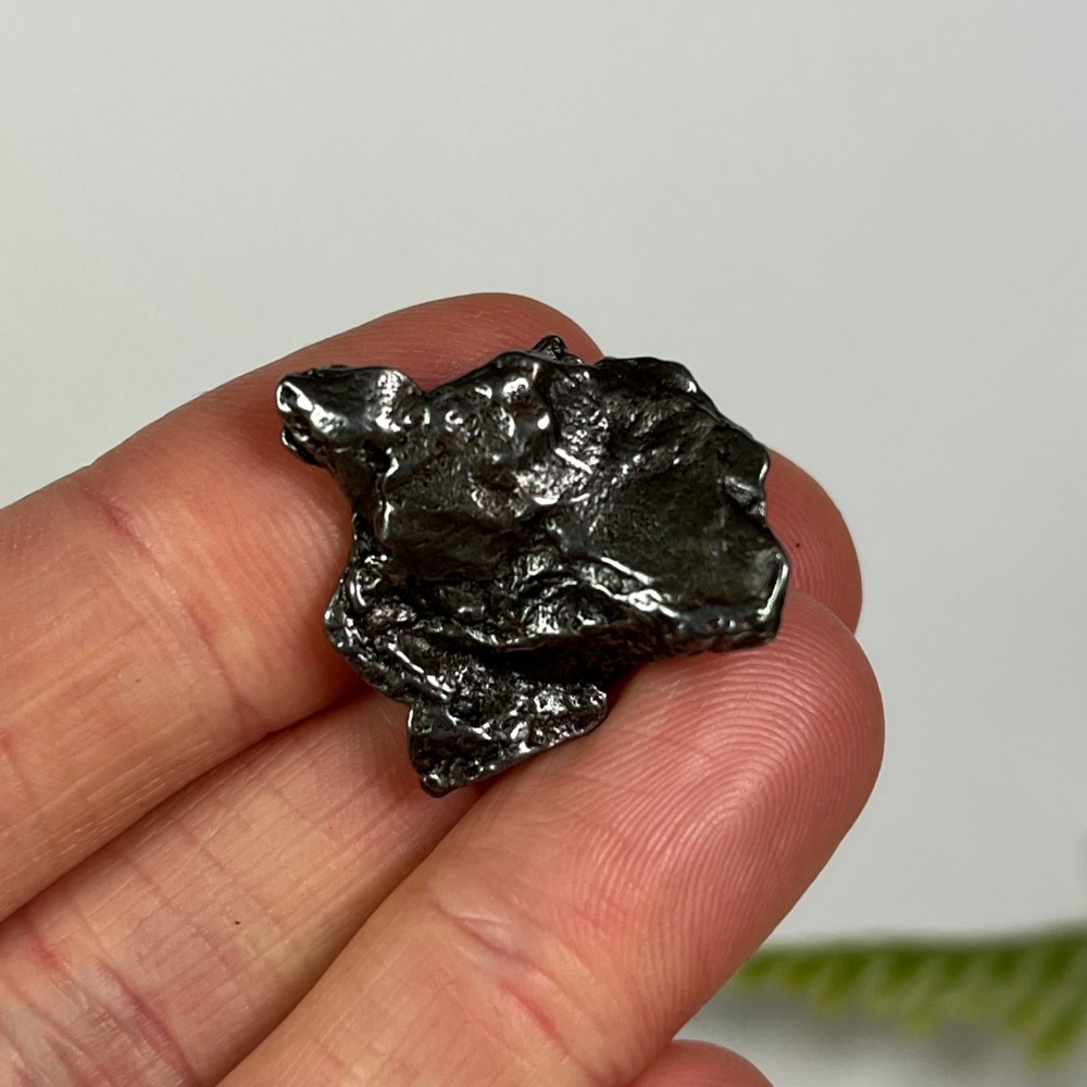 Iron Meteorite - Campo del Cielo