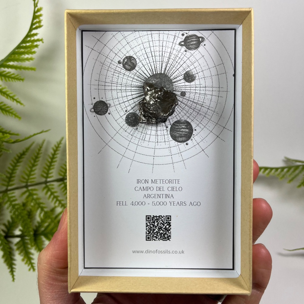 Iron Meteorite - Campo del Cielo