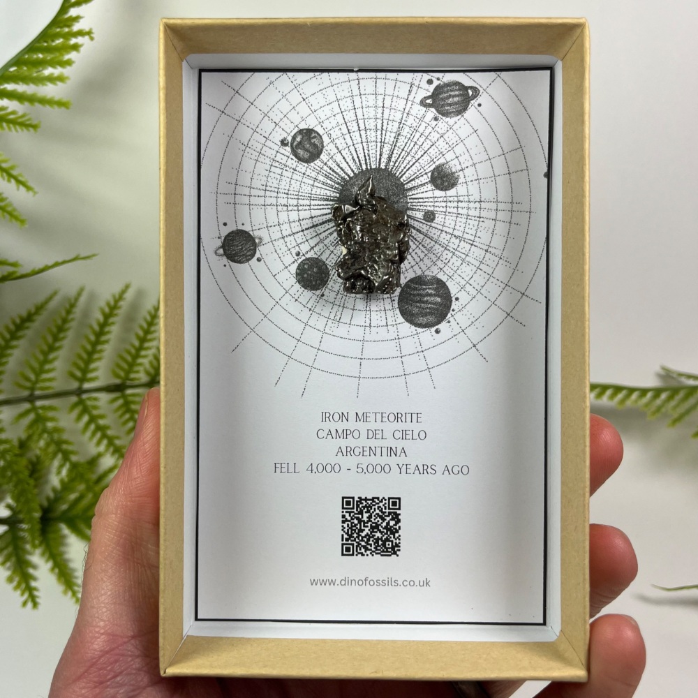 Iron Meteorite - Campo del Cielo