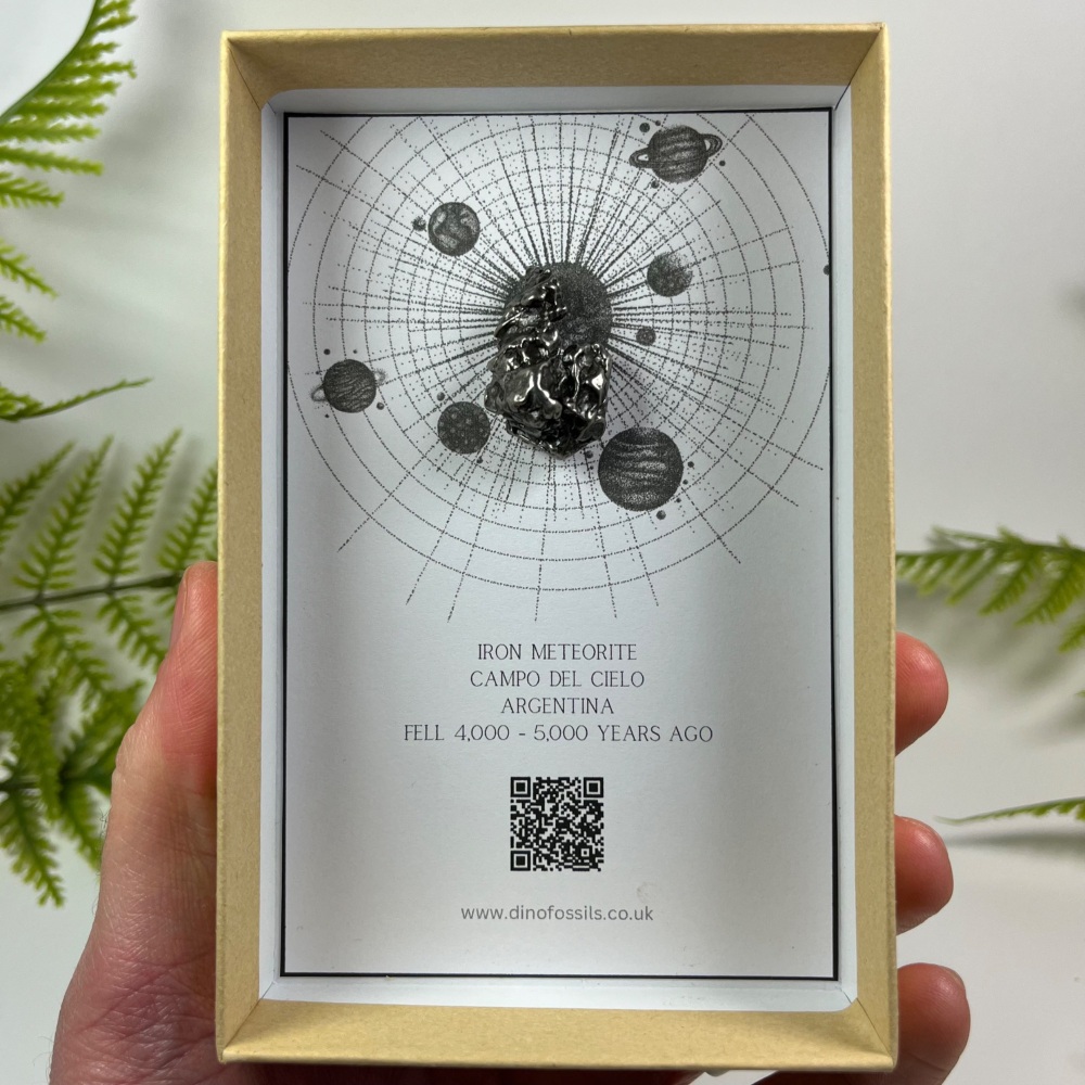 Iron Meteorite - Campo del Cielo