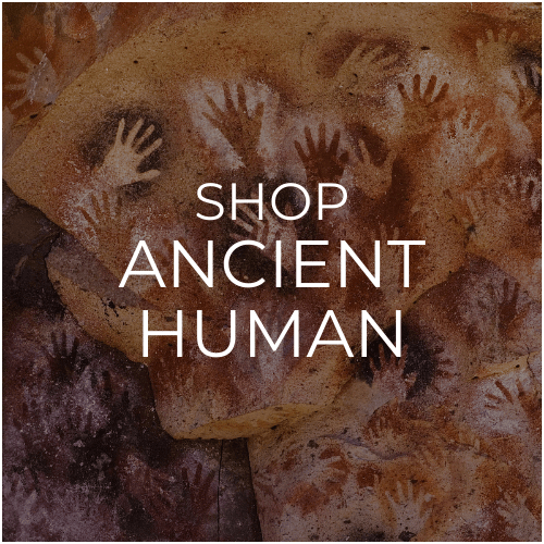 <!-- 004 -->Human History