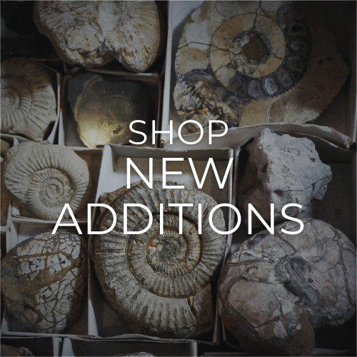 <!-- 002--> New Additions