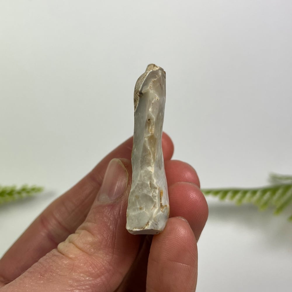 Mesolithic Flint Scraper (Dorset, England)