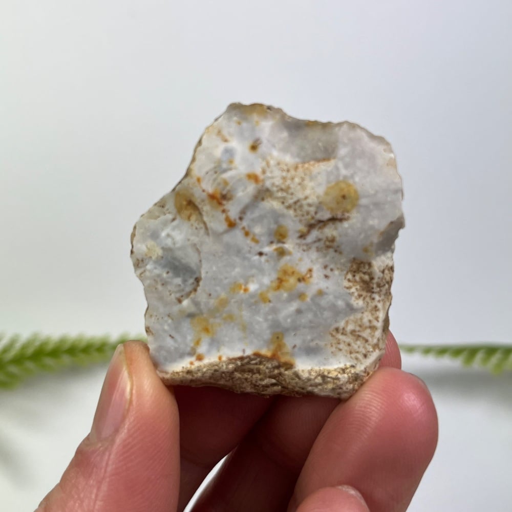 Mesolithic Flint Scraper (Dorset, England)