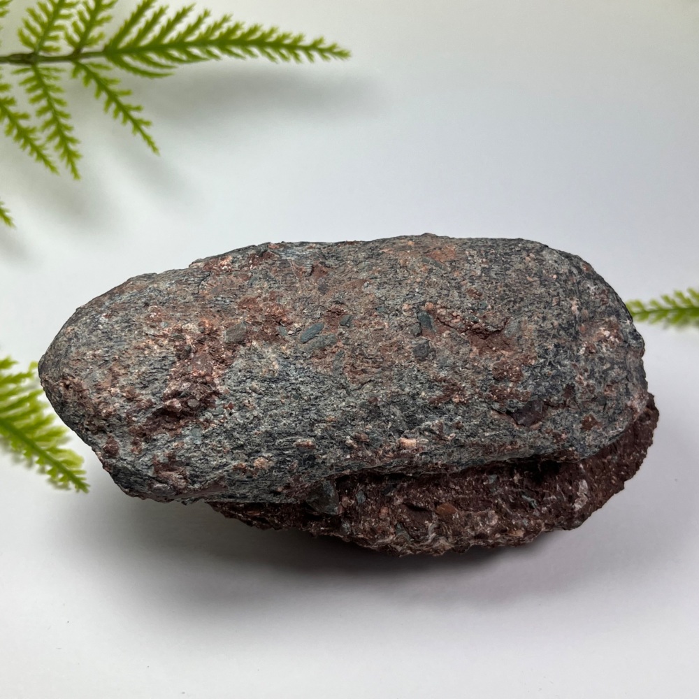 Oviraptorid Dinosaur Egg