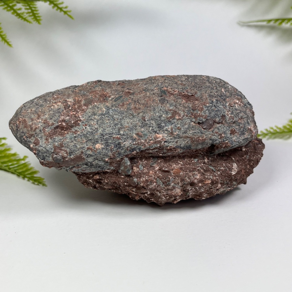 Oviraptorid Dinosaur Egg