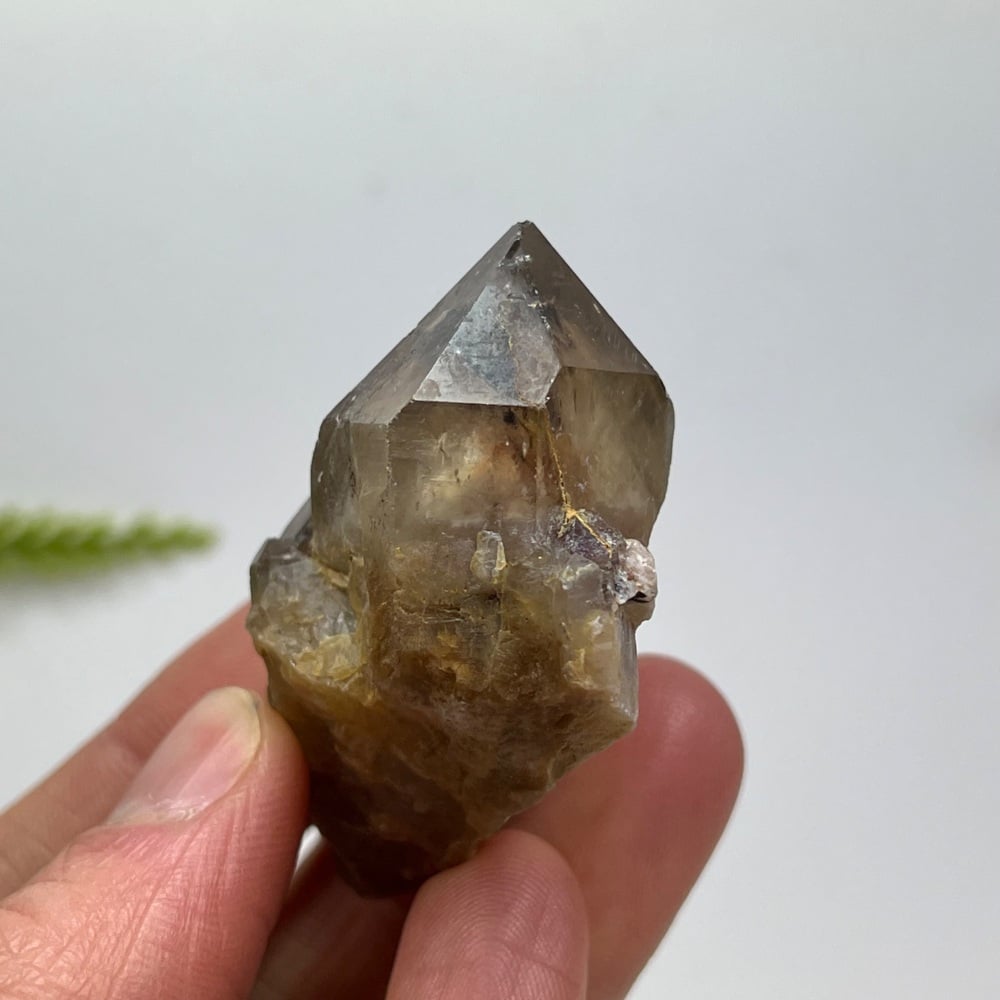 Natural Citrine