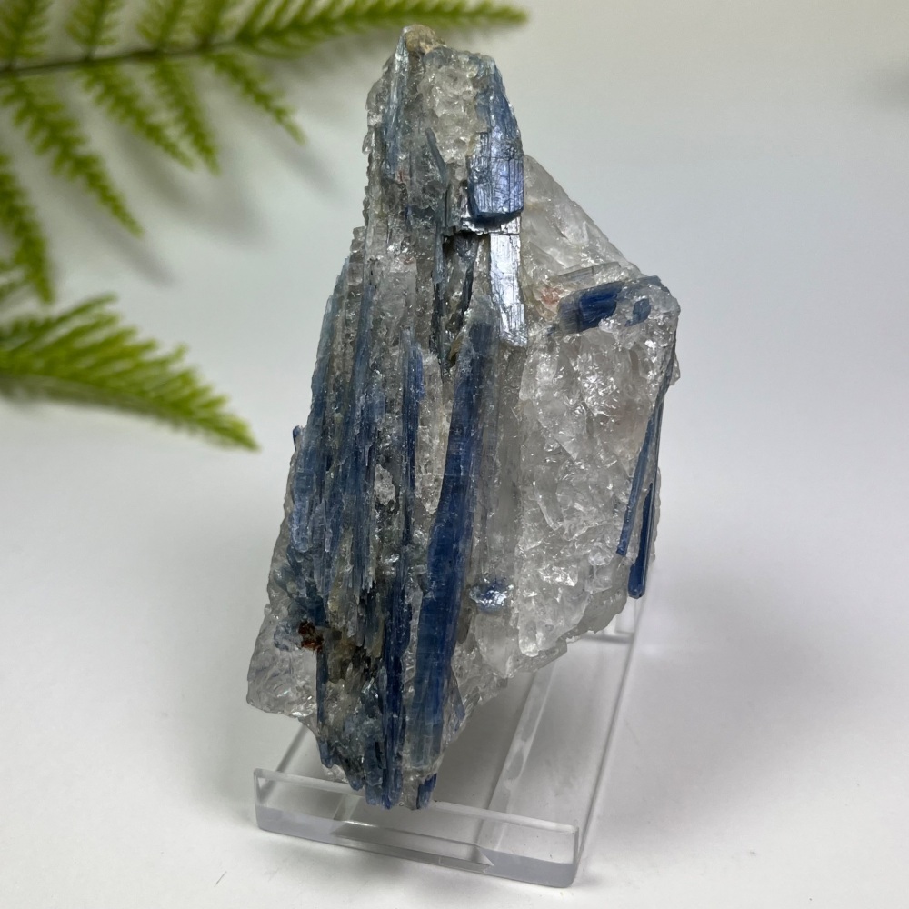 Neon-blue Kyanite (Brazil)