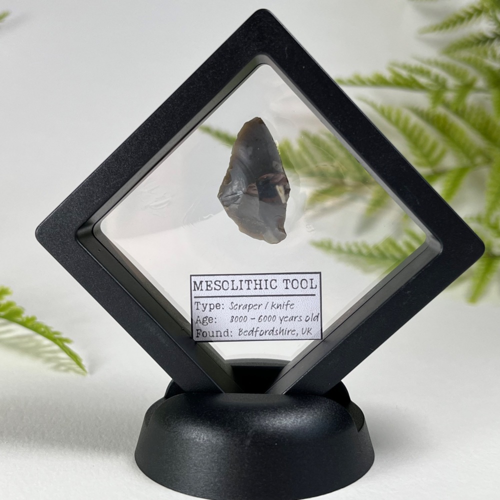 Tiny Mesolithic Scraper (Bedfordshire, England)