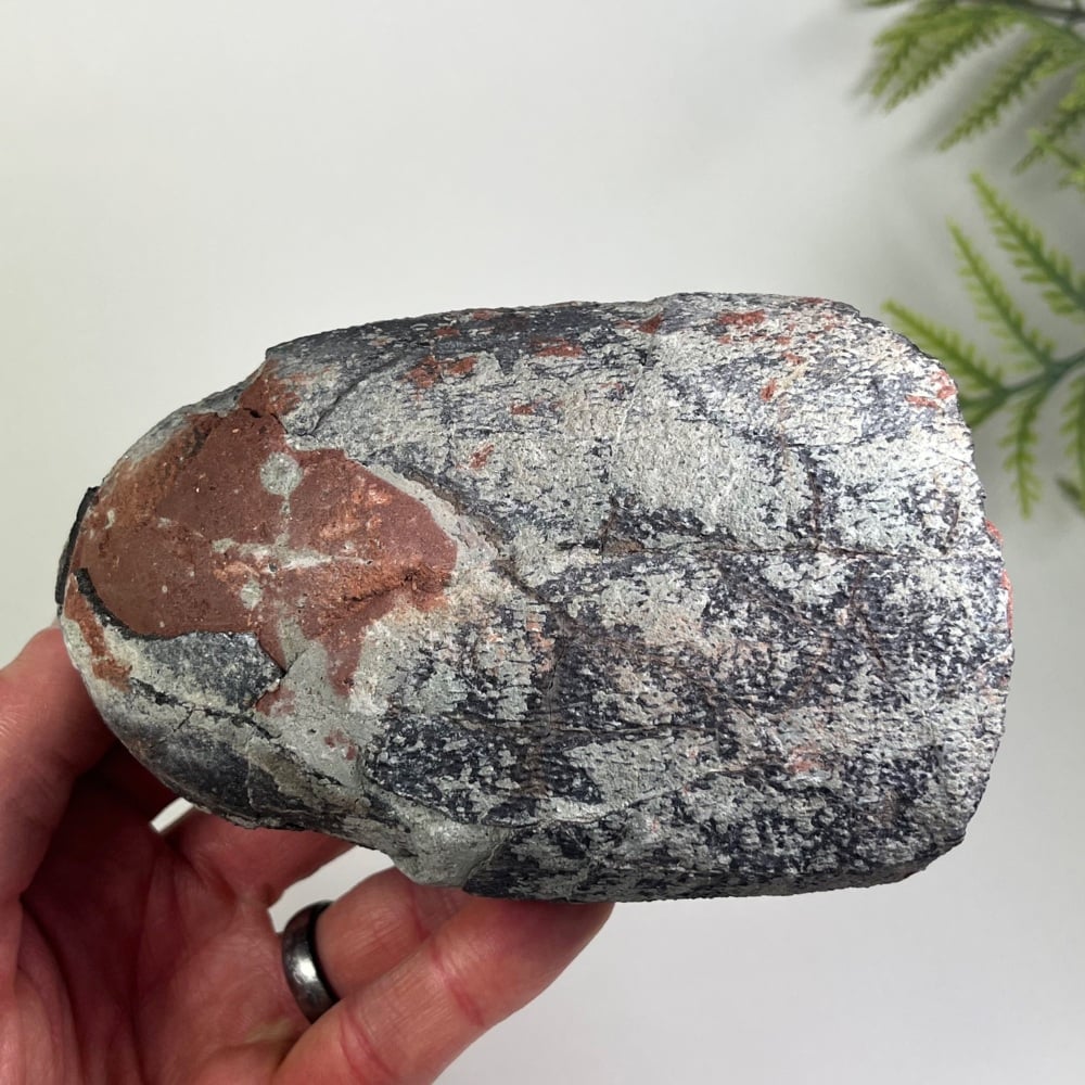 Oviraptorid Dinosaur Egg