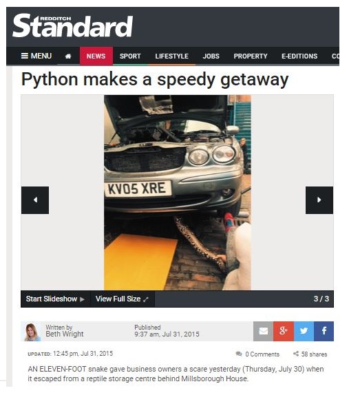 redditch standard snake escapes story