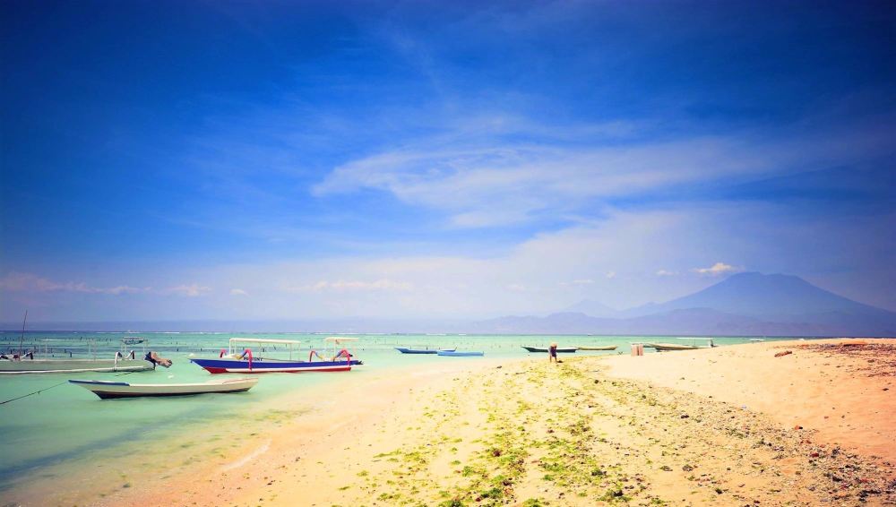 beach with boats on